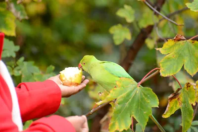 DSC_0508 (Large).JPG